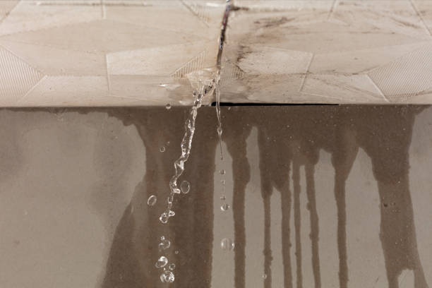 Professional Burst Pipe Cleanup technician working in Zumbro Falls, MN